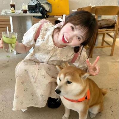 仇恨谜林